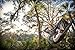 ENO - Eagles Nest Outfitters JungleNest Hammock, Includes Hammock and Bug Net, Grey