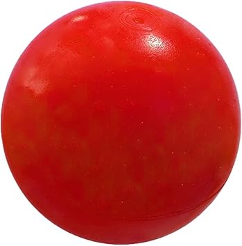 red nose pit terrier