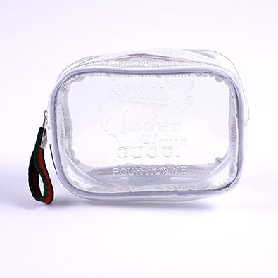 clear gucci purse
