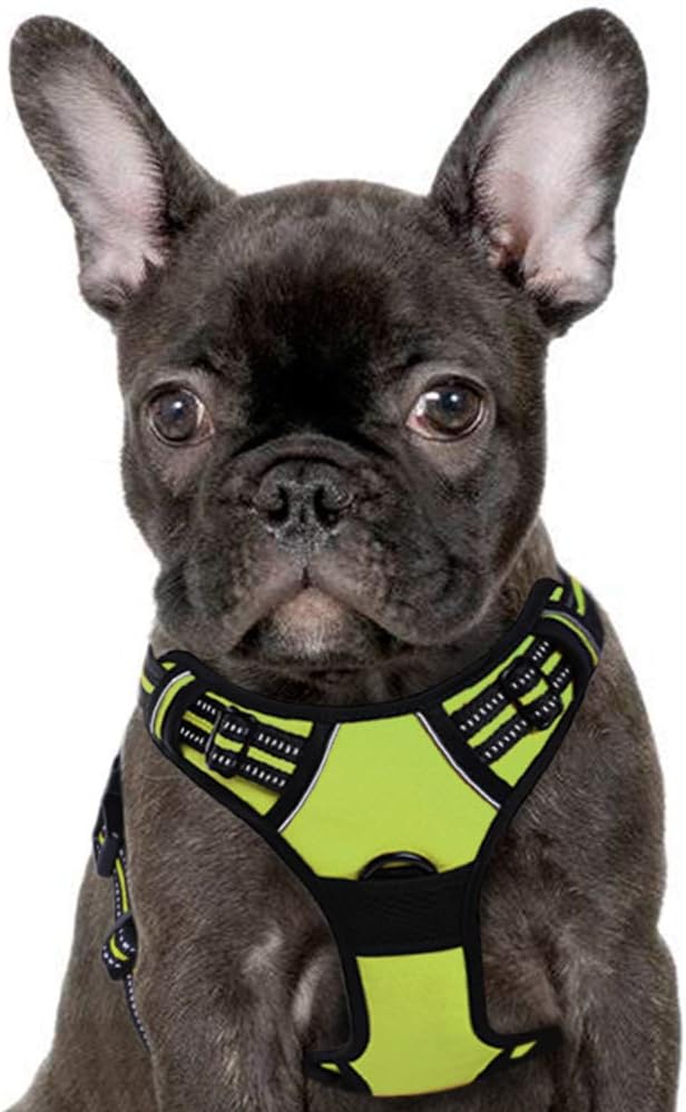front hooking dog harness