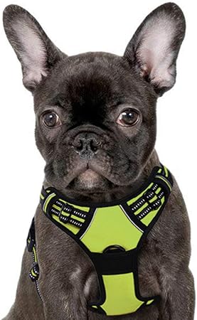 eagloo dog harness