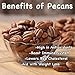 SUNBEST Fancy Georgia Raw Shelled Pecans, Pecan Halves, JUMBO, Unsalted, No Shell in Resealable Bag ... (1 Lb)