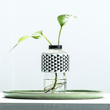 Amazon Com 13 5cm Tall Cement Glass Vases Home Wedding Party