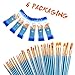Noorlee 6 Pack Paint Brush Set, 60 pcs Nylon Hair Brushes for Acrylic Oil Watercolor Painting Artist Professional Painting Kits
