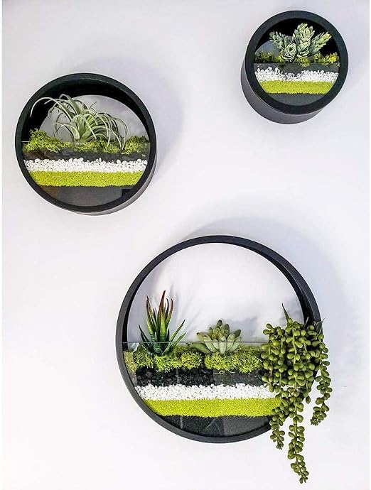 Macetas Colgantes Pared Modernas, Maceta para Flores Pared ...