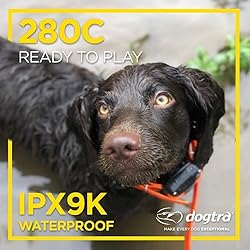 Dogtra 280C Waterproof 127-Level Precise Control