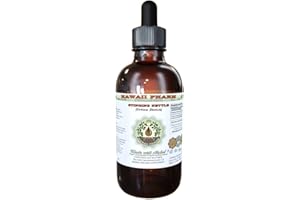 HAWAII PHARM Stinging Nettle Alcohol-Free Liquid Extract, Organic Stinging Nettle (Urtica Dioica) Dried Leaf Glycerite 2 oz