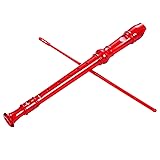 Lot-Yes 8-Hole Soprano Descant Recorder with Cleaning Rod + Case Bag Music Instr