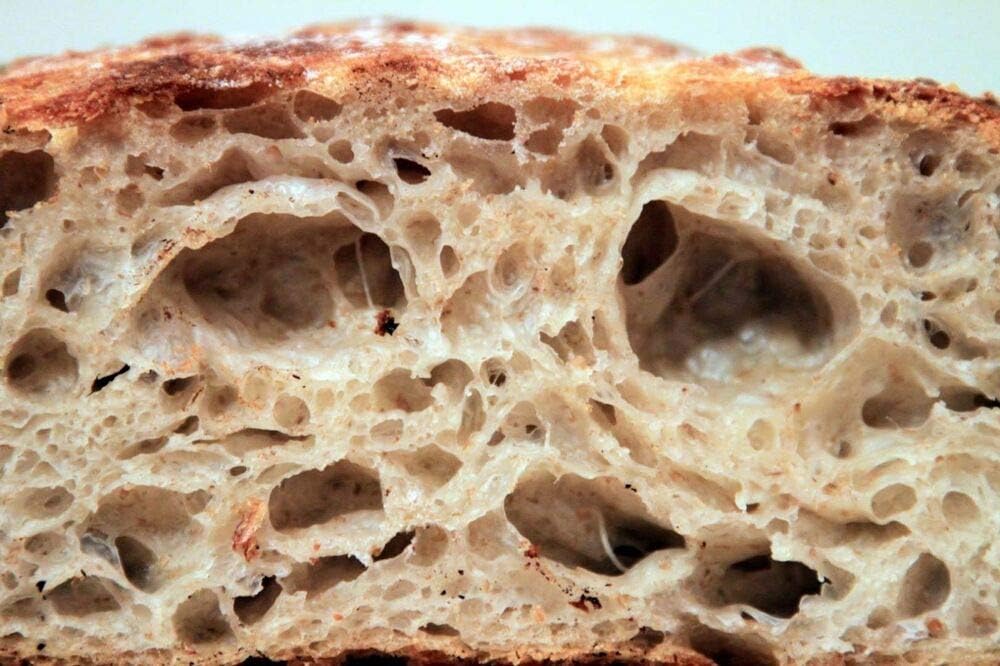 San Francisco SOURDOUGH STARTER yeast fresh WHARF"VERIFIED" sour active FRESH