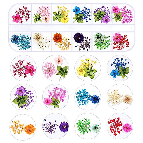 Nail Art Dried Flowers and Leaves 3D Nail Art Sticker Decals,24 Colors Natural Real Small Dried Flowers Nail Art Kit Decorations Supplies with Tweezer (2 Boxes)