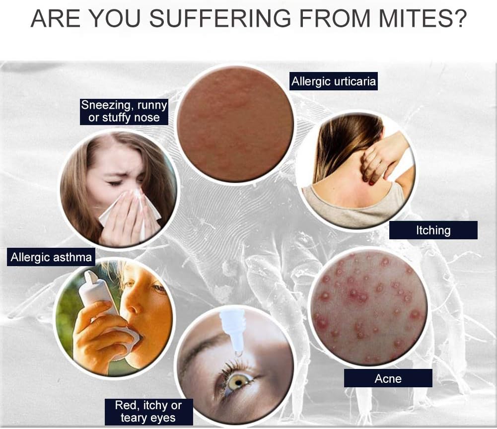 Dust Mite Treatment, Natural Herbal Mite Exterminating Pad, Anti-mite Pad Cushion - Image 4