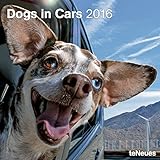 Dogs in Cars 2016 Calendar by