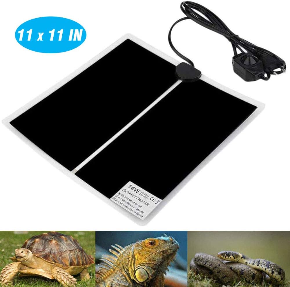 lizard heating pad