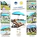 Sunphio Beach Umbrella with Sand Anchor, Heavy Duty, High Wind Resistant, Portable and Large Windproof Beach Umbrellas with Sand Bags for Travel, Best Sun Protection UV