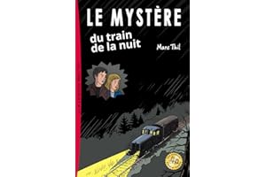 Le Mystère du train de la nuit (French Edition)