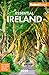Fodor's Essential Ireland 2020 (Full-color Travel Guide) primary