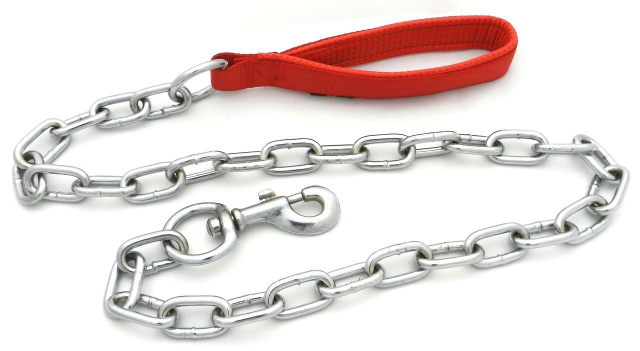 dog ki chain