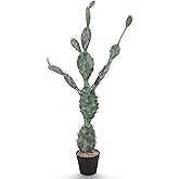 Yuwinron Artificial Cactus Potted Plant 43 Inch Faux Desert Cacti Fake Big Cactus Plant with Black Planter for Home Garden Office Indoor Outdoor Decoration