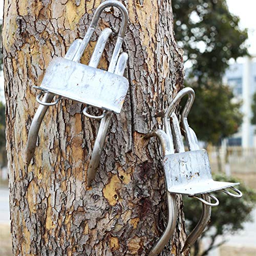sweet dream Climbing Spikes for Tree Work, Tree Climbing Tool Pole Spike Stainless Steel - for Hunting Observation, Picking Fruit, Coconut, Simple to Use charmingly
