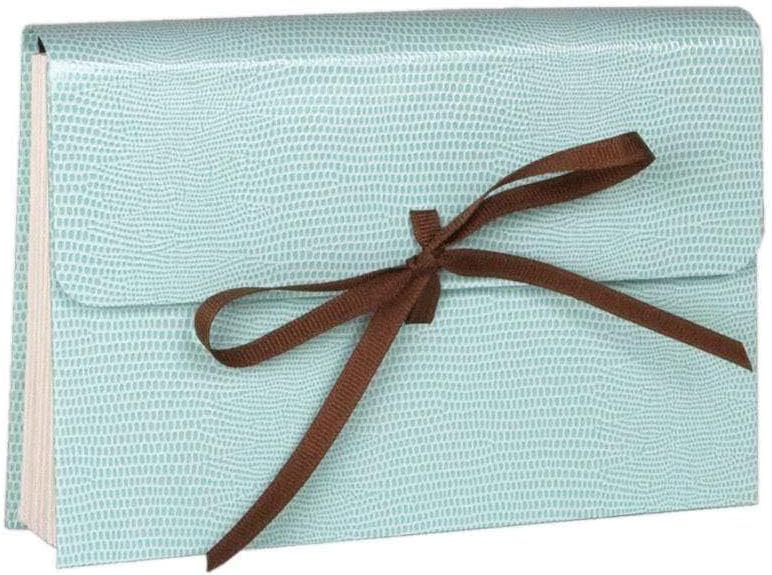 Caspari Lizard Recipe Card File Folder in Robin's Egg Blue