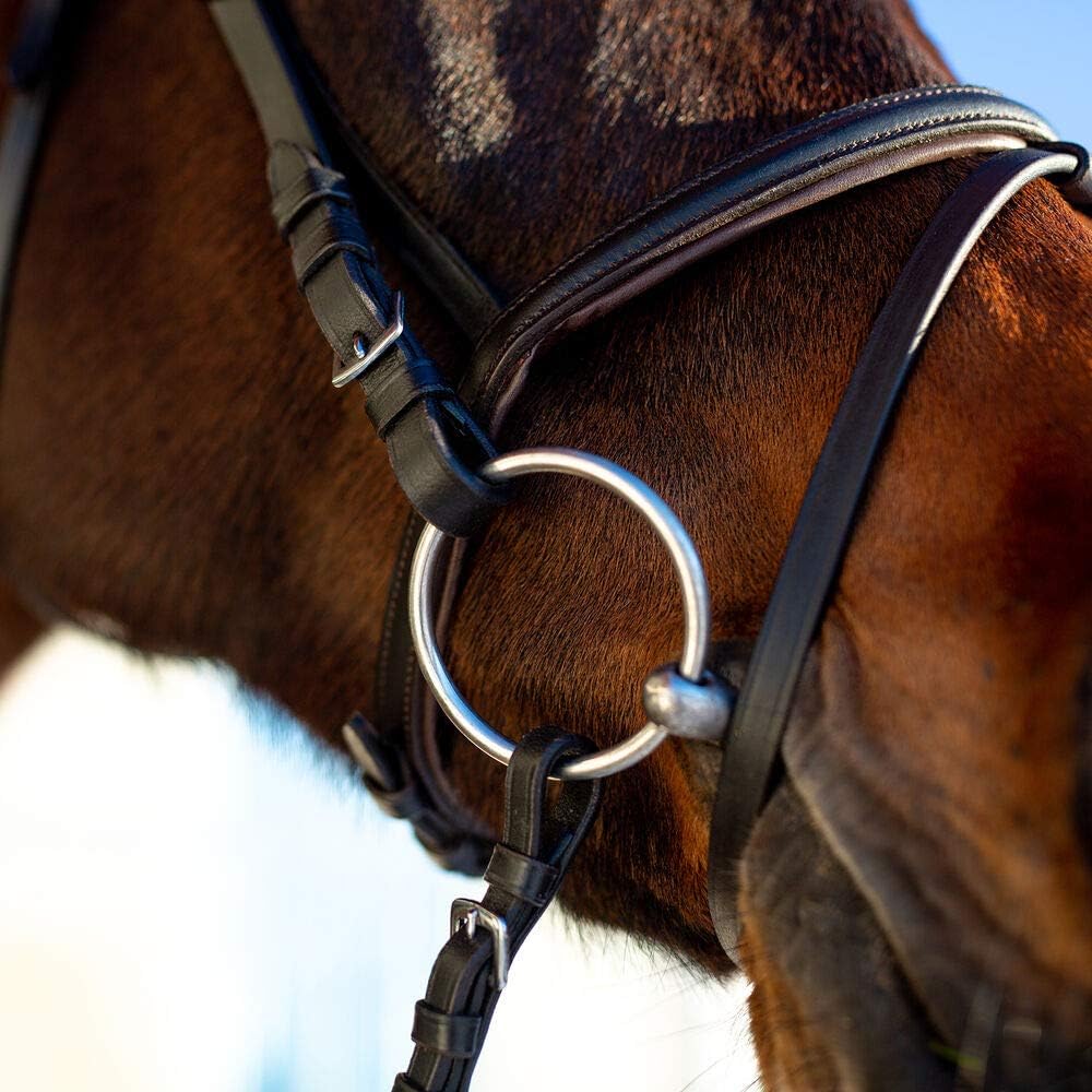 HORZE Weston Flash Bridle w/Reins: Sports & Outdoors