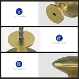 LONTAN 20 Pack Gold Drawer Knobs Brass Cupboard Knobs Zinc Alloy view 3