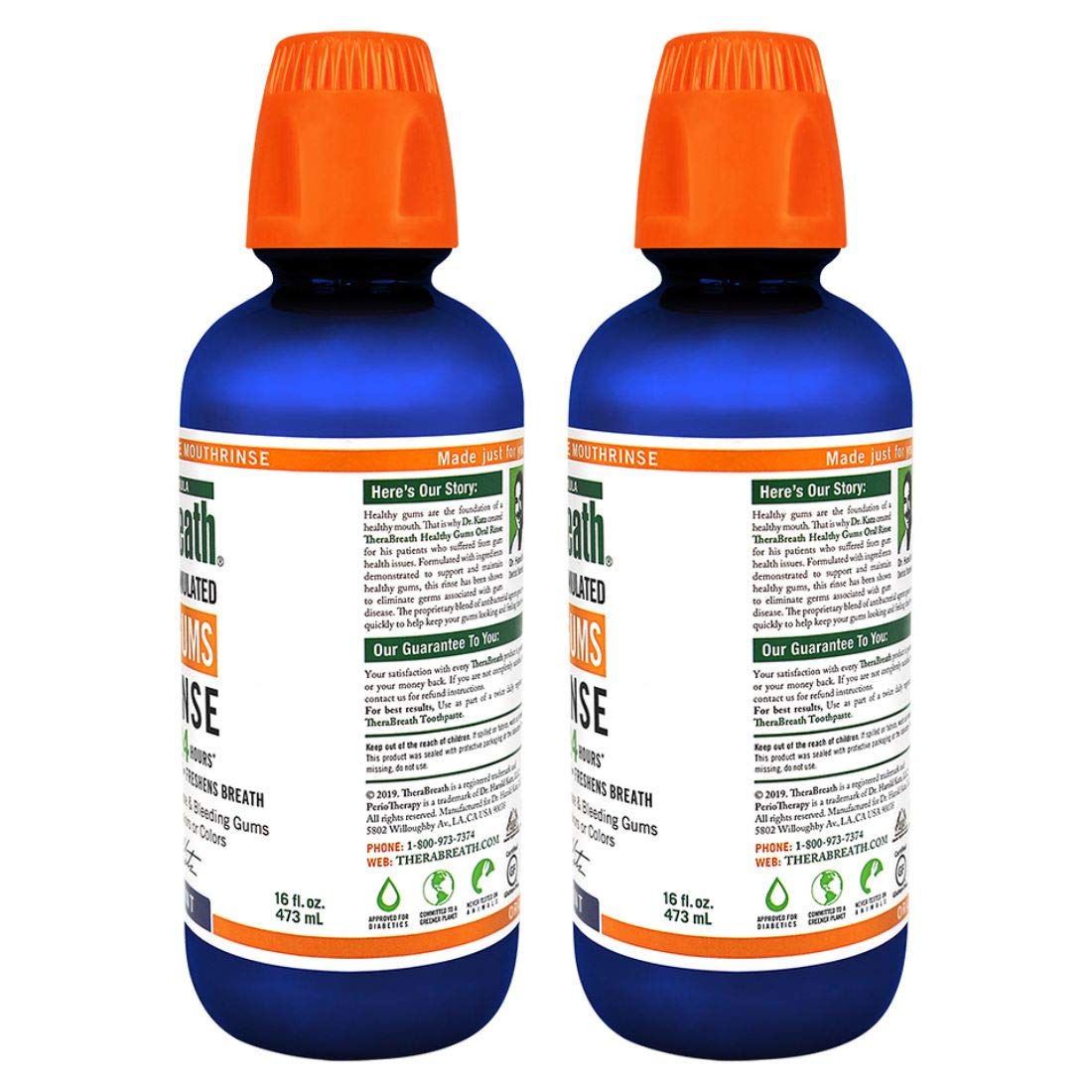 TheraBreath 24 Hour Healthy Gums Periodontist Formulated Oral Rinse, 16 Ounce (Pack of 2): Health & Personal Care