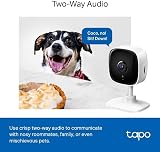 Tapo TC60 Indoor Security Camera WiFi No Monthly Fee AI Detection Dog Baby view 9