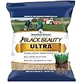 Jonathan Green (10320) Black Beauty Ultra Grass Seed - Cool Season Lawn Seed (1 lb)