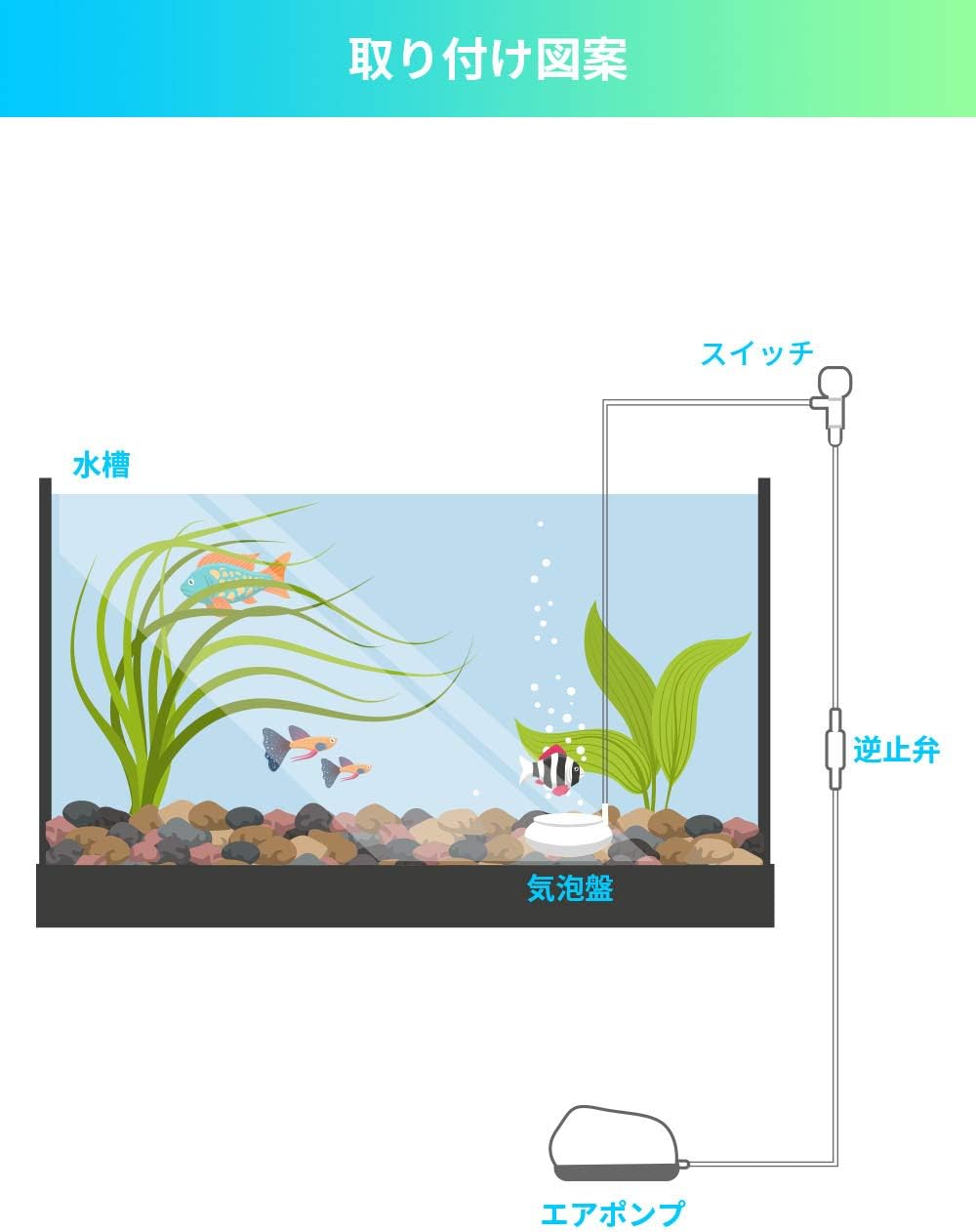 Amazon エアストーン 空気石 水槽 酸素 エアレーションを強化 直径50mm Ahomie エアポンプ用アクセサリー 通販