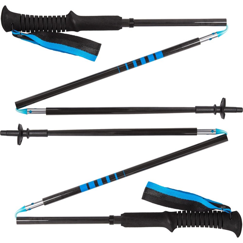 Les Meilleurs Bâtons de Marche Pliables : Black Diamond Alpine FLZ