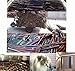 Hypeety Pet Snacks Apple Wood Sticks Chew Toy for Squirrel Rabbits Bunny Guinea Pigs Chinchilla Hamster 100g (3.5oz)