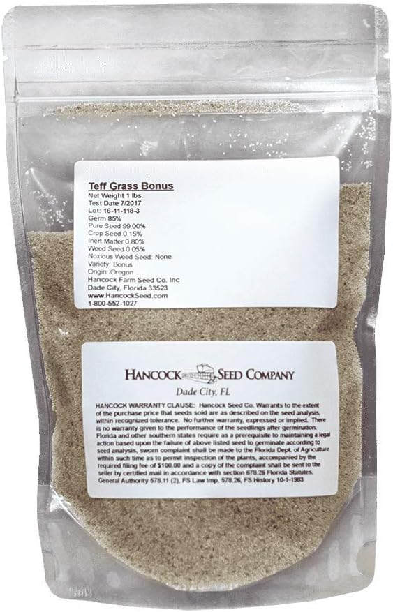 Tiffany Teff Grass Seed
