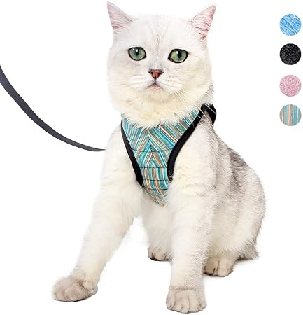 amazon cat leash