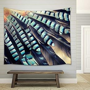 Wing of Jay (Garrulus Glandarius) Close Up - Fabric Wall Tapestry Home Decor - 51x60 inches