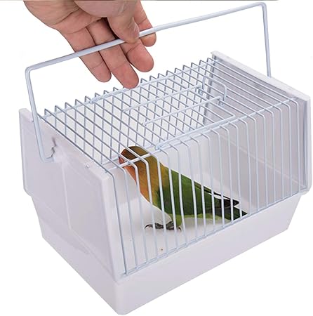 pet bird carrier