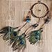 Ricdecor Indian Dream Catcher Wind Chimes Feather Pendant Wall Hanging Home Decoration (Peacock Feathers)