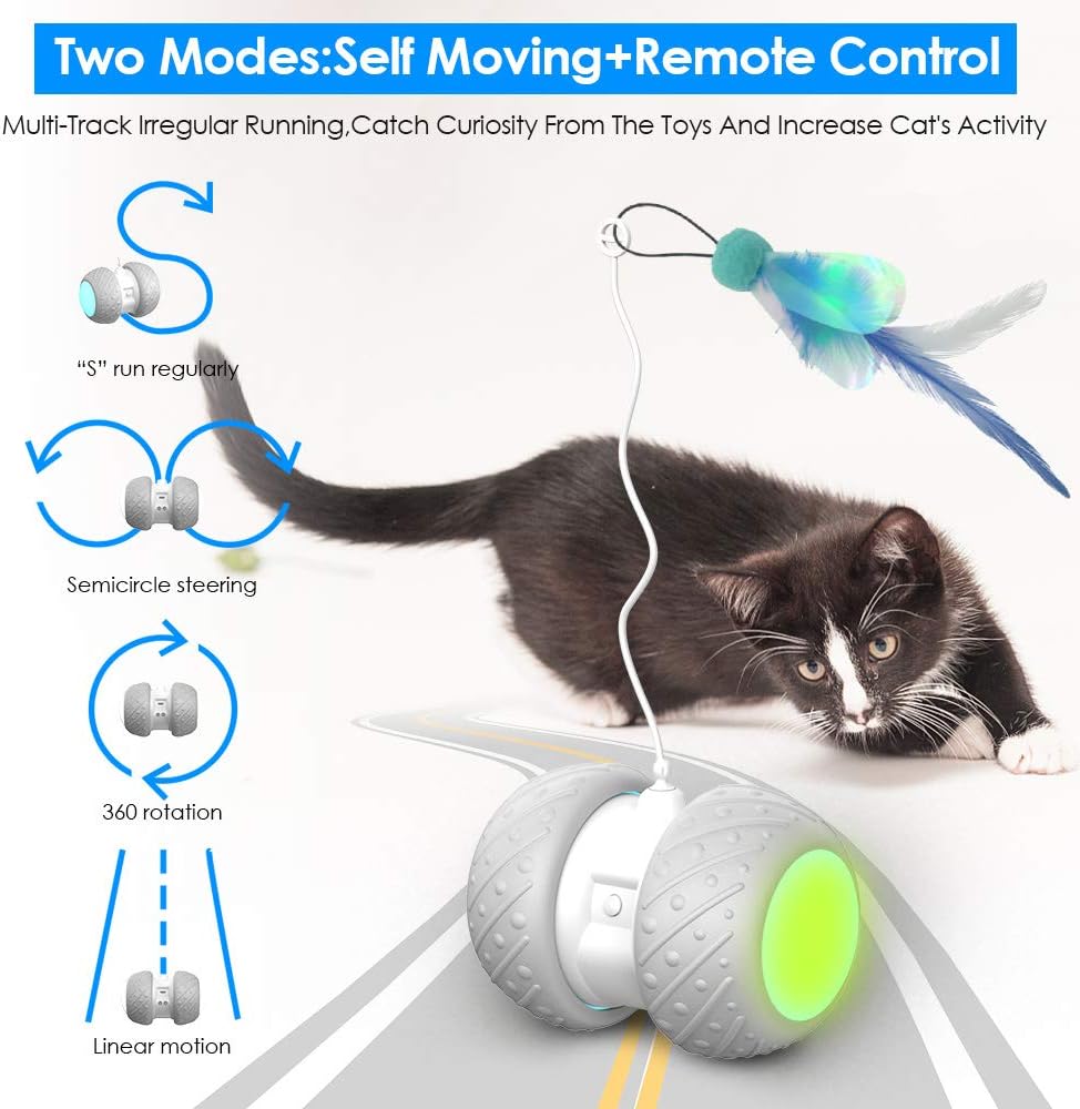 k-berho Remote Control/Robotic Cat Toys Interactive, Cat Toys for Indoor with Feather, Color Ribbon, Butterfly, Automatic Cat Toy with Irregular USB Charging 360 Degree Self Rotating Ball : Pet Supplies