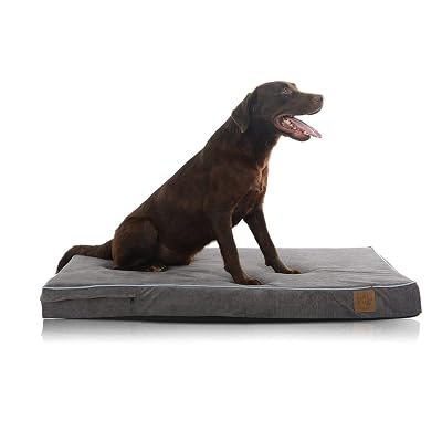 Laifug Orthopedic Memory Foam Dog Bed with Durable Water Proof Liner and Removable Washable Cover