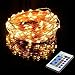 Mxsaver 65.5ft 200 LED String Lights Dimmable with Remote Control, Waterproof Decorative Lights for Bedroom, Patio, Garden, Gate, Yard, Parties, Wedding (Copper Wire Lights, Warm White)