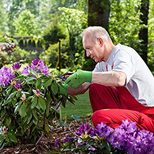 Pine Tree Tools Bamboo Working Gloves for Women and Men. Ultimate Barehand Sensitivity Work Glove for Gardening, Fishing, Clamming, Restoration Work & More. S, M, L, XL, XXL (1 Pack M)... Pine Tree Tools Bamboo Working Gloves for Women and Men. Ultimate Barehand Sensitivity Work Glove for Gardening, Fishing, Clamming, Restoration Work & More. S, M, L, XL, XXL (1 Pack M)...