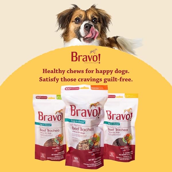 BRAVO! BEEF TRACHEA DOG CHEWS, 8 INCH (2 COUNT) FOR MEDIUM AND LARGE BREED DOGS, DRY ROASTED, HIGH PROTEIN, NATURAL SOURCE OF CHONDROITIN AND GLUCOSAMINE