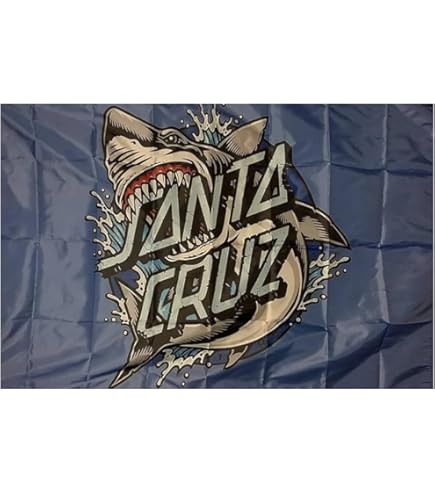 Amazon.com: santa cruz vintage design skateboard screaming hand