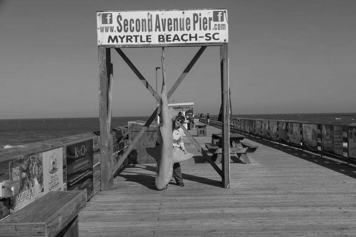 18 x 24 Black & White Canvas Wrap of What a Catch at The Second Avenue Pier in Myrtle Beach South Carolina But There's a Catch to The Catch The Shark is Fake a Prop for vistor phot s65 2017 Highsmith
