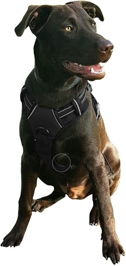 Tbm Giyoomi No Pull Dog Harness Puppy Harness Car Harness Reflective Front Clip Black Material Light Weight Harness Easy Pulling Padded Adjustable Pet Vest Dog Harness Large Black Amazon Co Uk Pet Supplies