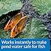 API POND AMMO-LOCK Ammonia detoxifier For Pond Water 16-Ounce Bottle