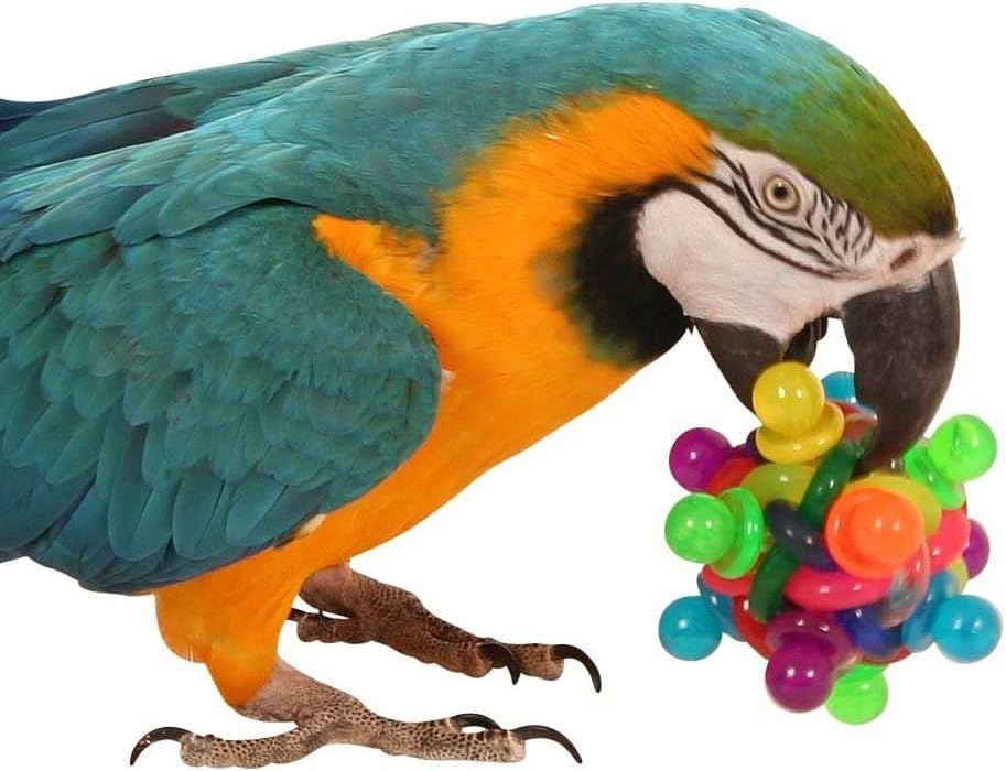 Binkies Ball Foot Toy for Parrots