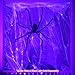 Colonel Pickles Novelties Giant Spider for Halloween Decorations - Large Size at Nearly 5 Feet - Great Party Decor & Props