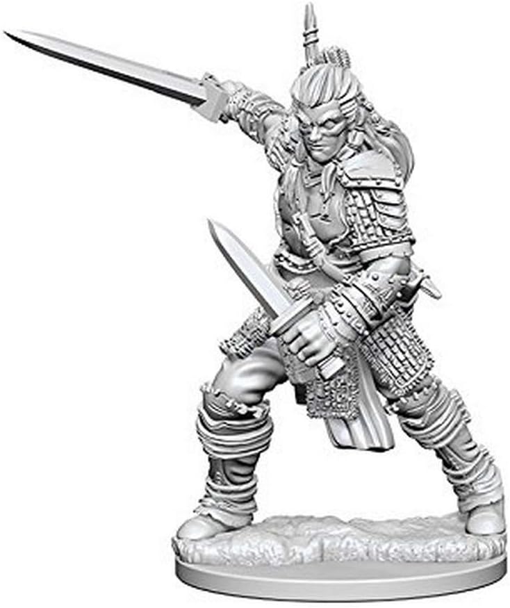 Pathfinder Deep Cuts Unpainted Miniatures (W1) Human Male Fighter