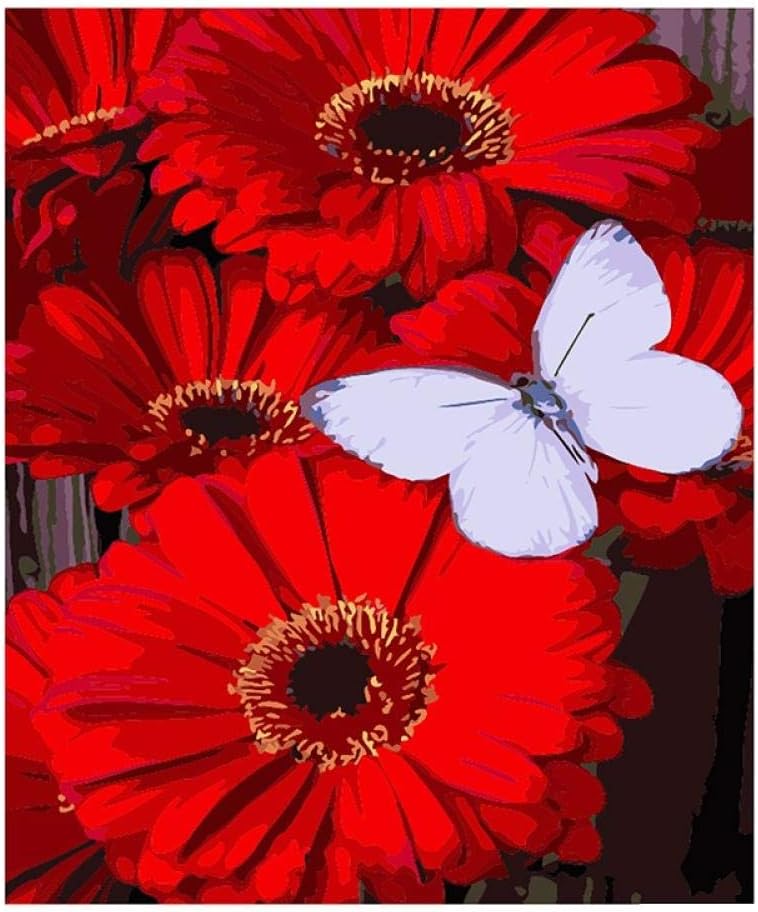Paint by Numbers for Adults Children, DIY Oil Painting, Red flower - Wooden Framed - 40x50cm